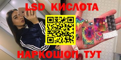 соль ск Сланцы