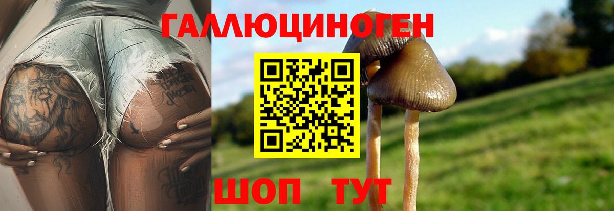 наркошоп  Вход с VPN  Сосновый Бор  Псилоцибиновые грибы MAGIC MUSHROOMS 